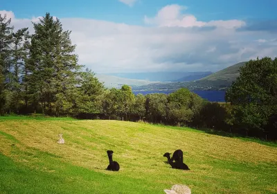 County Galway