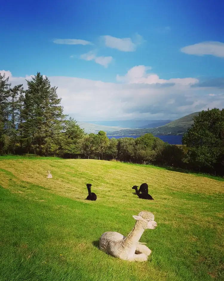 Hotels mit Fitnessstudio in County Galway, Irland