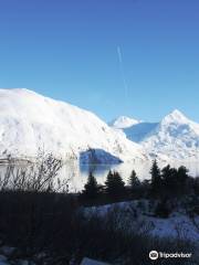 Turnagain Trails