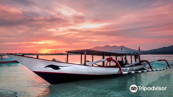 Manta Dive Gili Trawangan