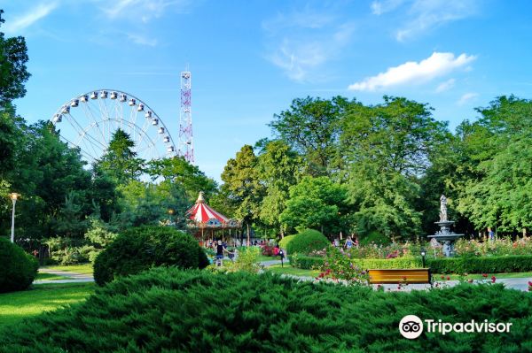 Tei Park