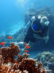 Red Sea Diving Club