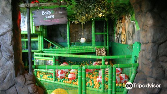 Jungle City - Amusement park