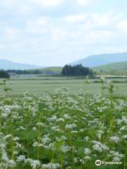 Seiwa View Point