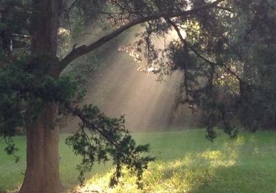 Onalaska City Park