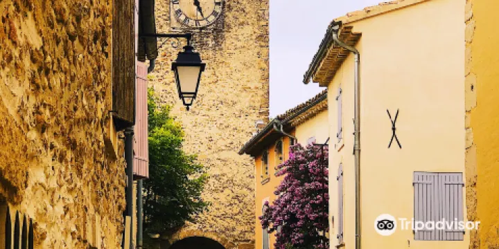 Musee de la truffe et du vin