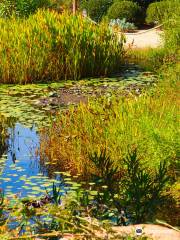 Parc de Saleccia