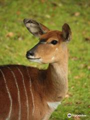 Liberec Zoo