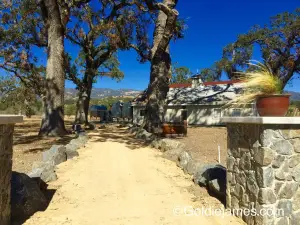 Campovida
