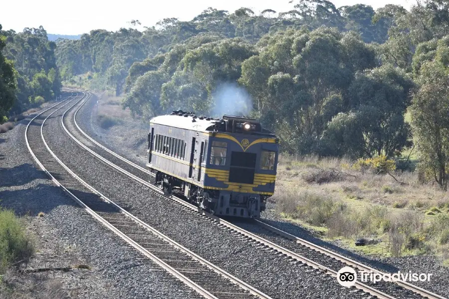 Rail Paddle & Plate