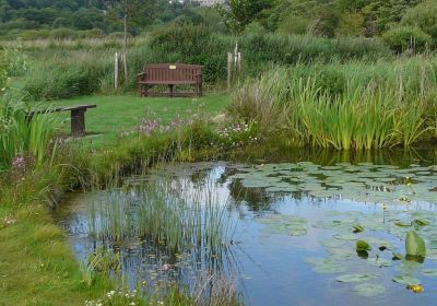 Eudlo Creek National Park