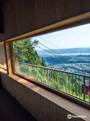 Luftseilbahn Adliswil Felsenegg