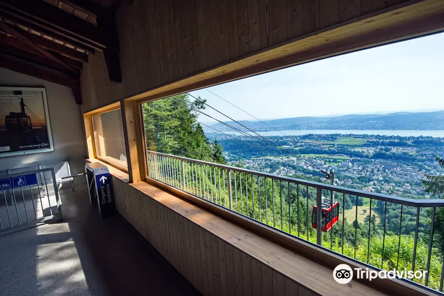 Luftseilbahn Adliswil Felsenegg