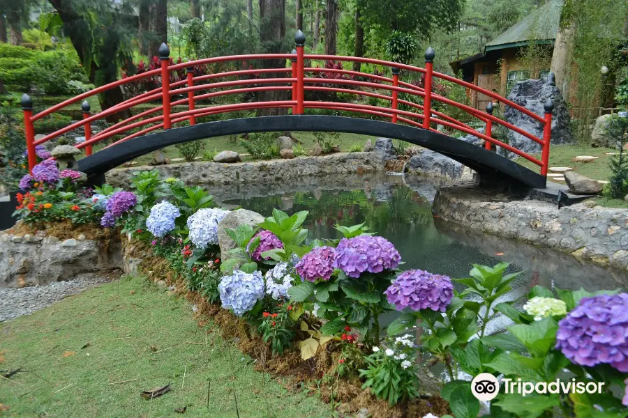 Baguio Botanical Garden