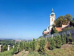 Chateau Melnik