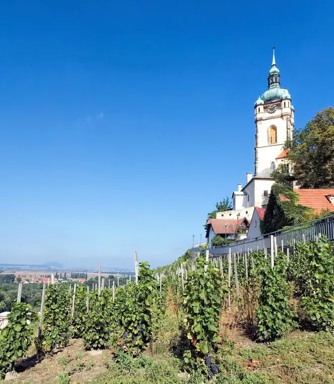Melnik