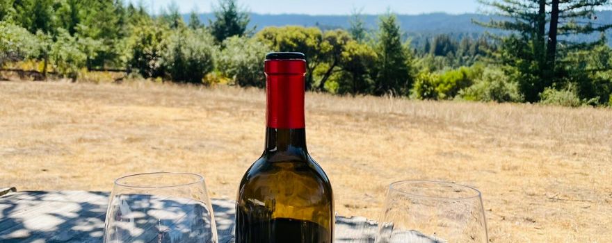 Annapolis Winery