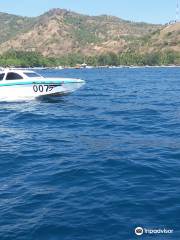 Gili Trawangan Turtle Hatchery