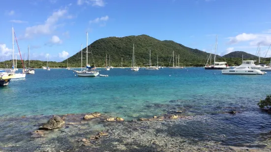 Trellis Bay