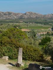 Parc naturel régional des Alpilles