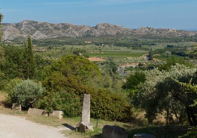 Alpilles Natural Regional Park