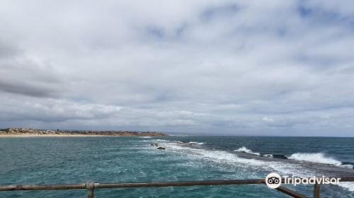 Port Noarlunga Reef