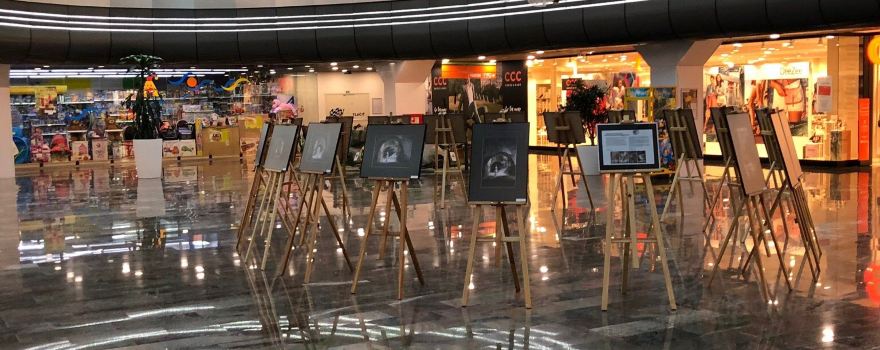 Dituria Shopping Center
