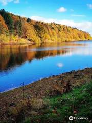 Damflask Reservoir