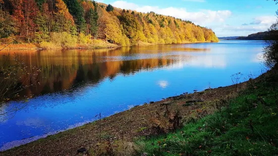 Damflask Reservoir