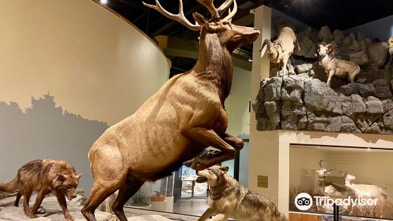 Anniston Museum of Natural History