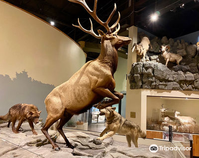 Anniston Museum of Natural History