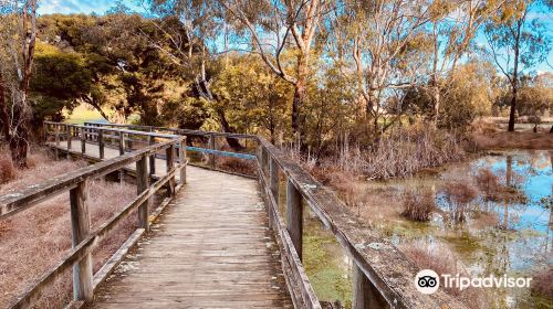 Cussen Park