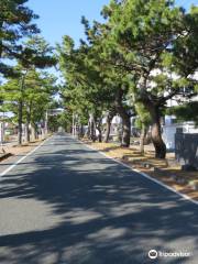 Row of Pine Trees in Kyutokaido