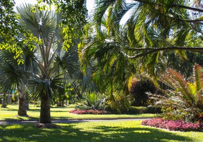 Queens Gardens Townsville