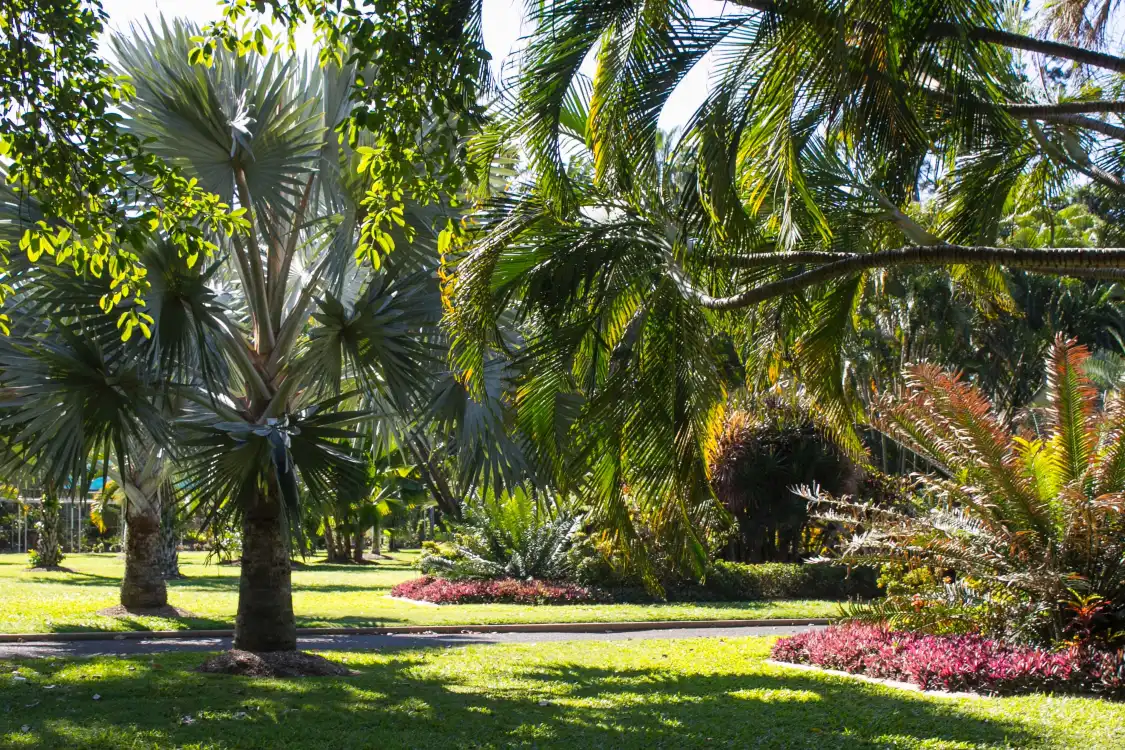 Hotels near Queens Gardens