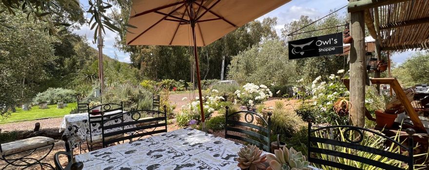 Owl's Rest - Olive and Lavender Farm