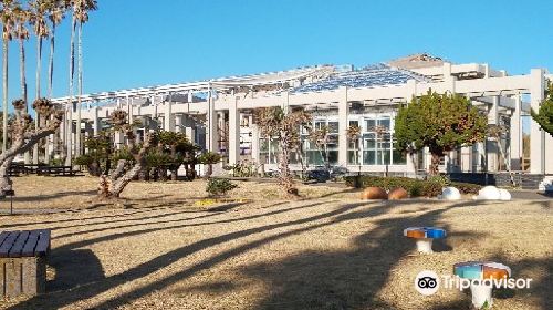 Aloha Garden Tateyama