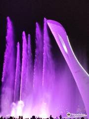 Light and Music Fountain