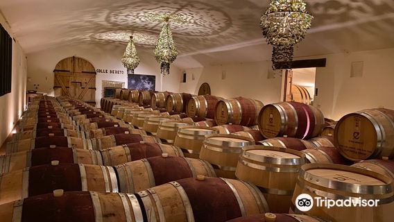 Azienda Agricola Colle Bereto