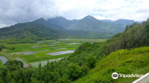 Hanalei River