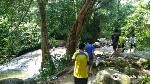 Burmese Pool