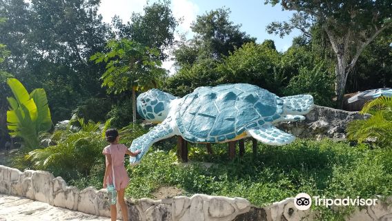 ไป-กลับ Tulum Mayan Ruins ทัวร์วันเดียว/ทัวร์หลายวัน รถเช่าเหมา (ไปกลับ ไป-กลับ Cancun)