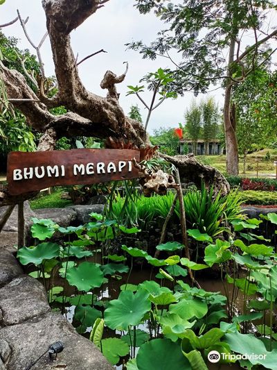 Agro Wisata Bhumi Merapi