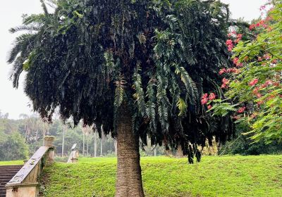 德班植物園