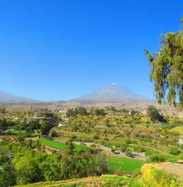 Hotels in Cayma District