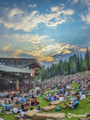 Gerald R. Ford Amphitheater (The Amp)