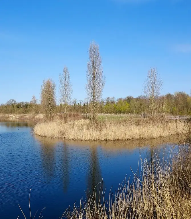 Neuilly-sur-Marne