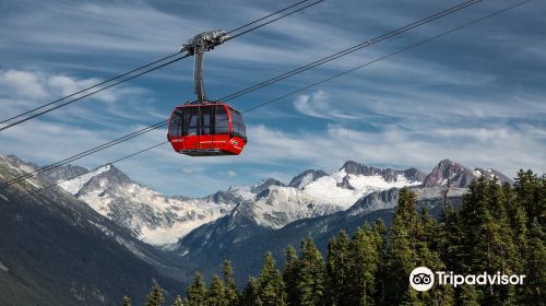 Peak 2 Peak Gondola Whistler