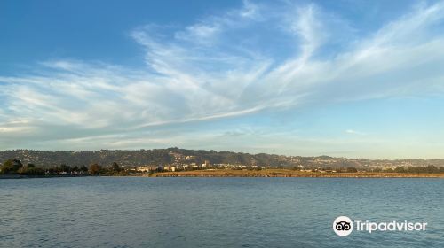 Berkeley Marina