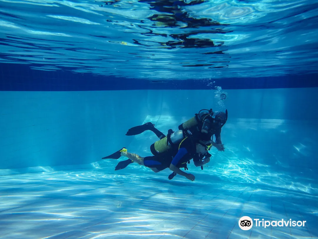 1_Seafari Dive Center